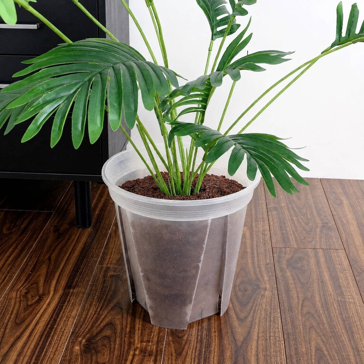 Pot Transparent avec Trous pour Plantes Cactus Succulentes - Image 2