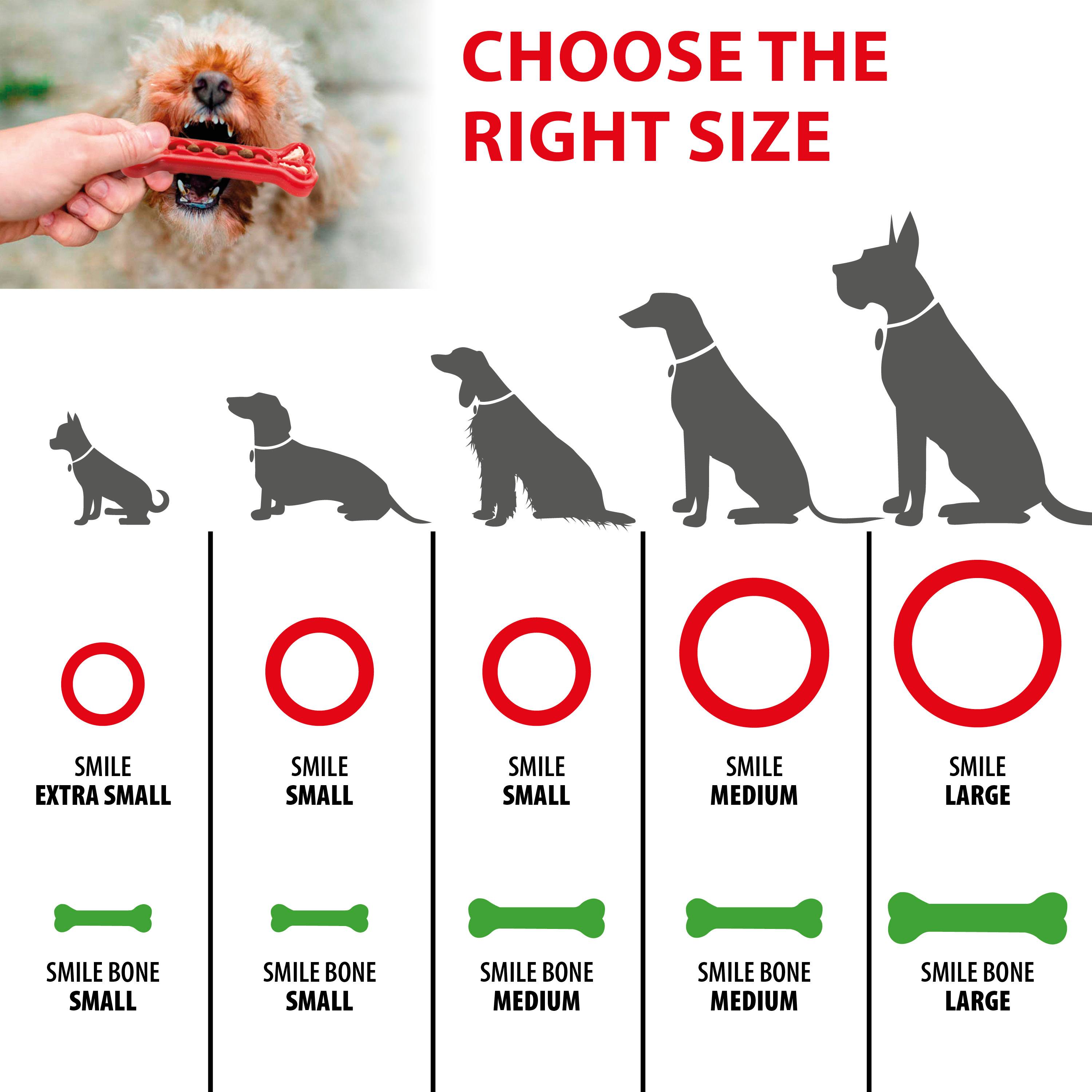 Ferplast - Ferplast Jouet Chien, Anneau Distributeur Croquettes Friandises pour Chien, en Matériau Durable à Mâcher, Arôme de Viande, pour l'Hygiène Dentaire, - Image 2
