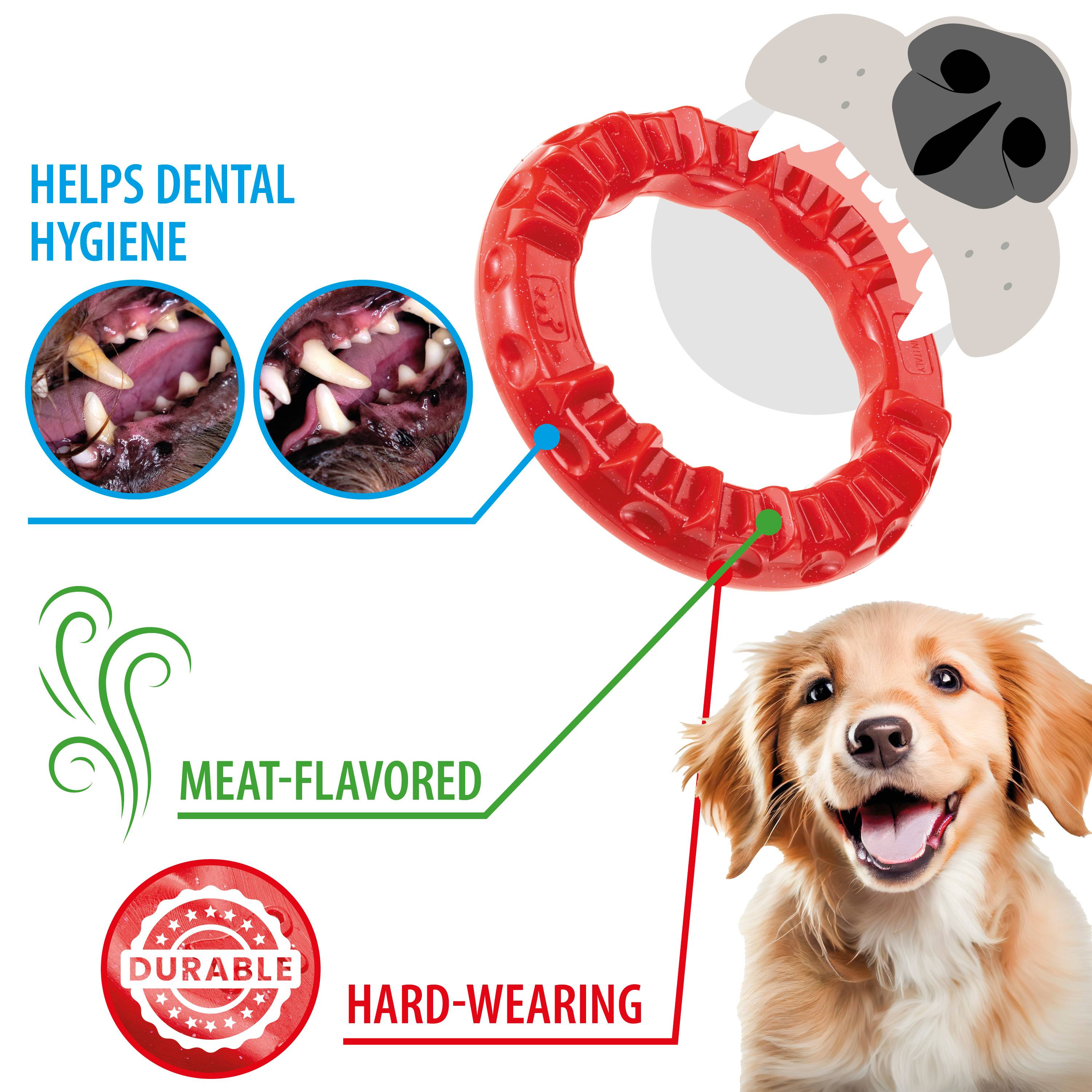 Ferplast - Ferplast Jouet Chien, Anneau Distributeur Croquettes Friandises pour Chien, en Matériau Durable à Mâcher, Arôme de Viande, pour l'Hygiène Dentaire, - Image 4