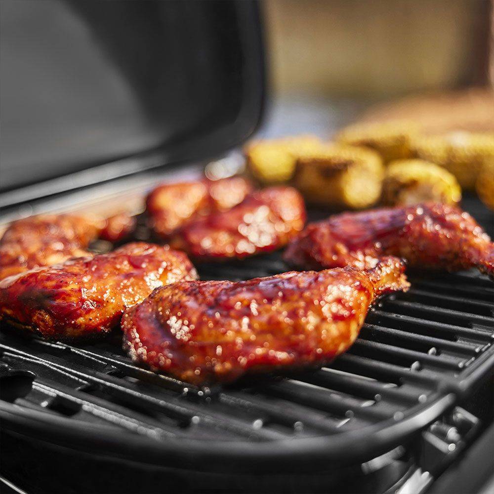 Weber - Barbecue à gaz Traveler Compact - Image 6