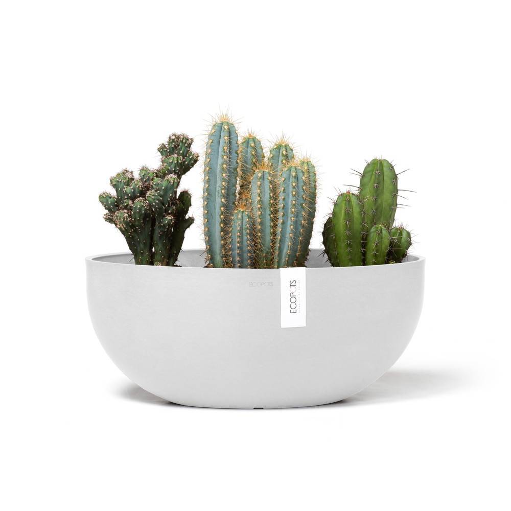 Ecopots - Pot Ovale Sofia Big 43 Blanc Pur + réservoir d'eau - 43 x 25 x H. 17,5 cm - 8,2 L ECOPOTS - Image 2