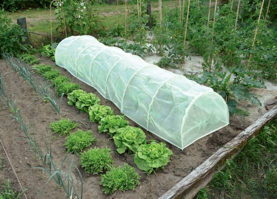 Nortène - Tunnel accordéon avec filet anti-insectes "Protect Tunnel" - 0,60 x 0,45 x 3 m Nortene - Image 1