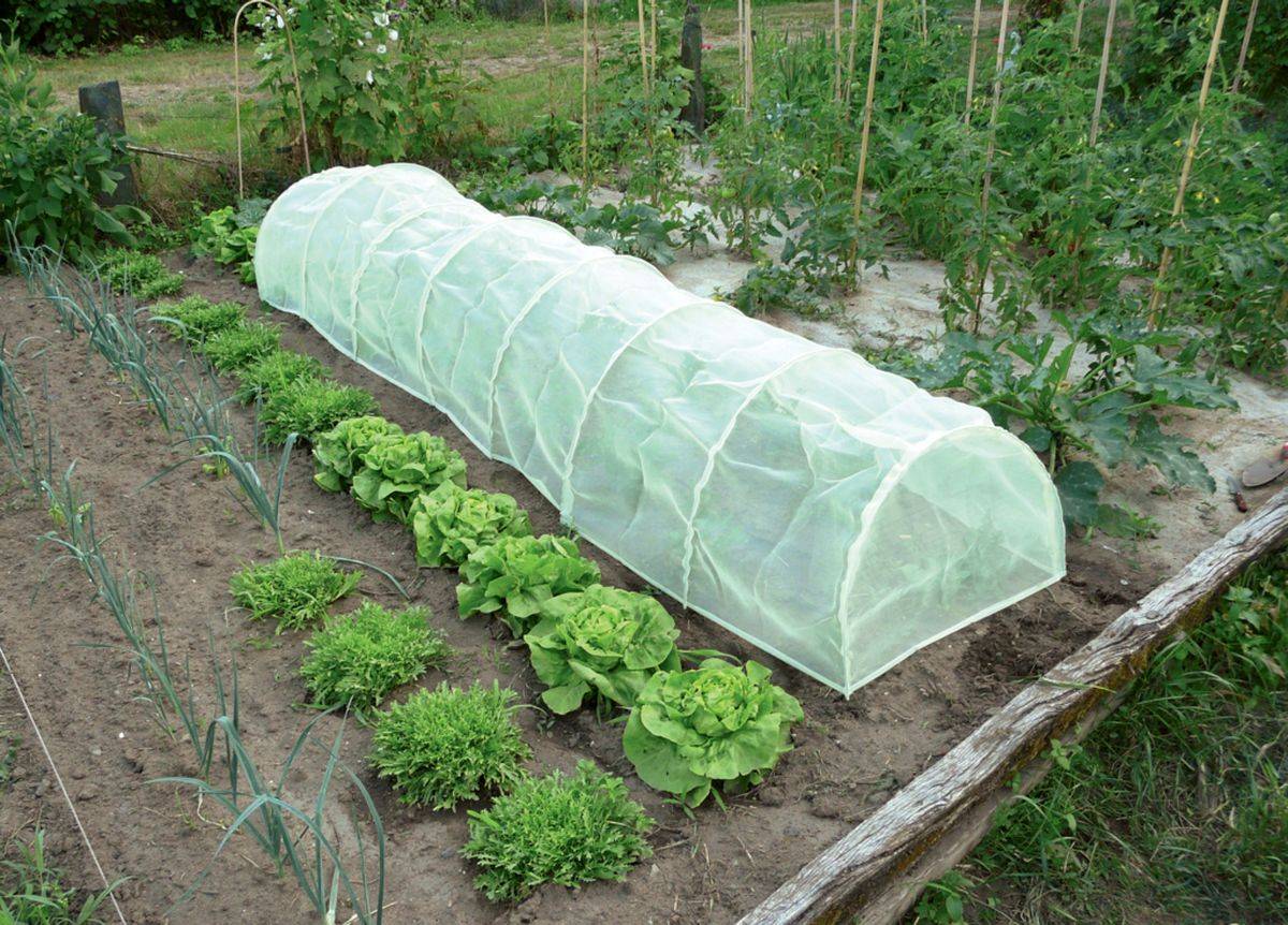 Nortène - Tunnel accordéon avec filet anti-insectes "Protect Tunnel" - 0,60 x 0,45 x 3 m Nortene - Image 1