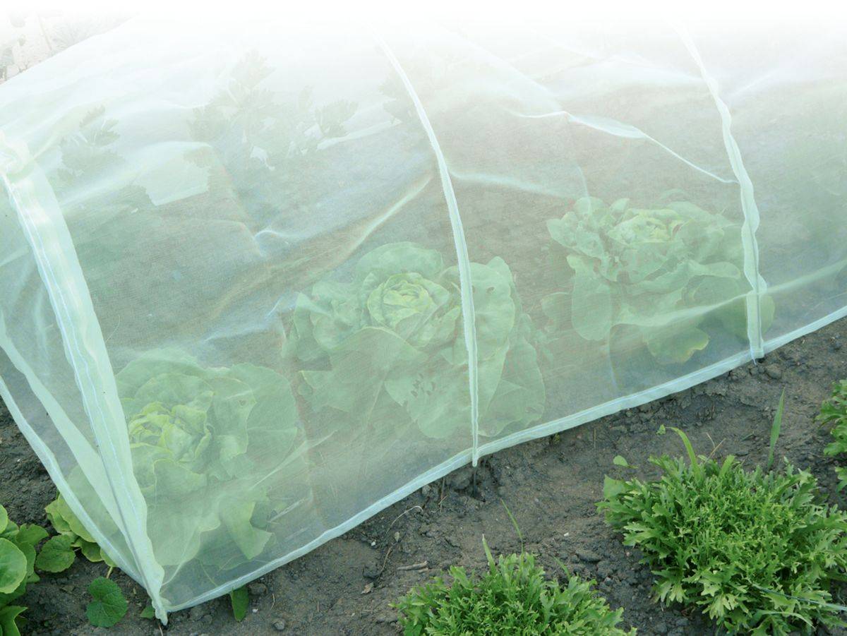 Nortène - Tunnel accordéon avec filet anti-insectes "Protect Tunnel" - 0,60 x 0,45 x 3 m Nortene - Image 2