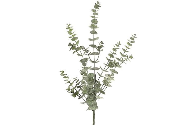 Feuille Eucalyptus L vert-26x26x93CM
