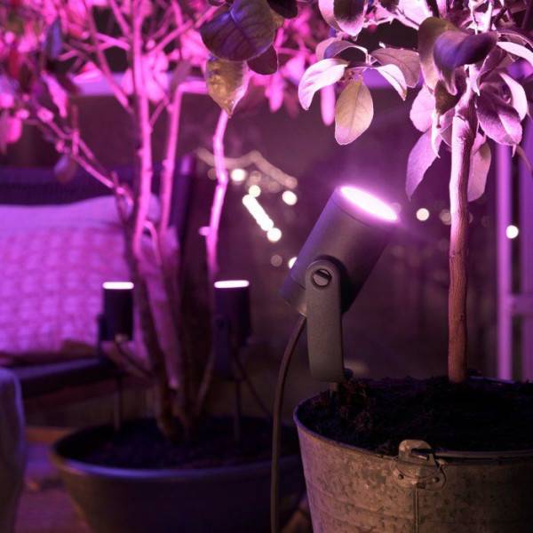 Philips - Projecteur de jardin - PHILIPS HUE - Lily - Lumiere blanche et colorée - Noir - Basse tension - Extension - IP67 - Image 4