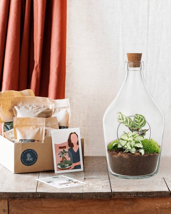 Kit Terrarium Diy - H30cm - Image 4