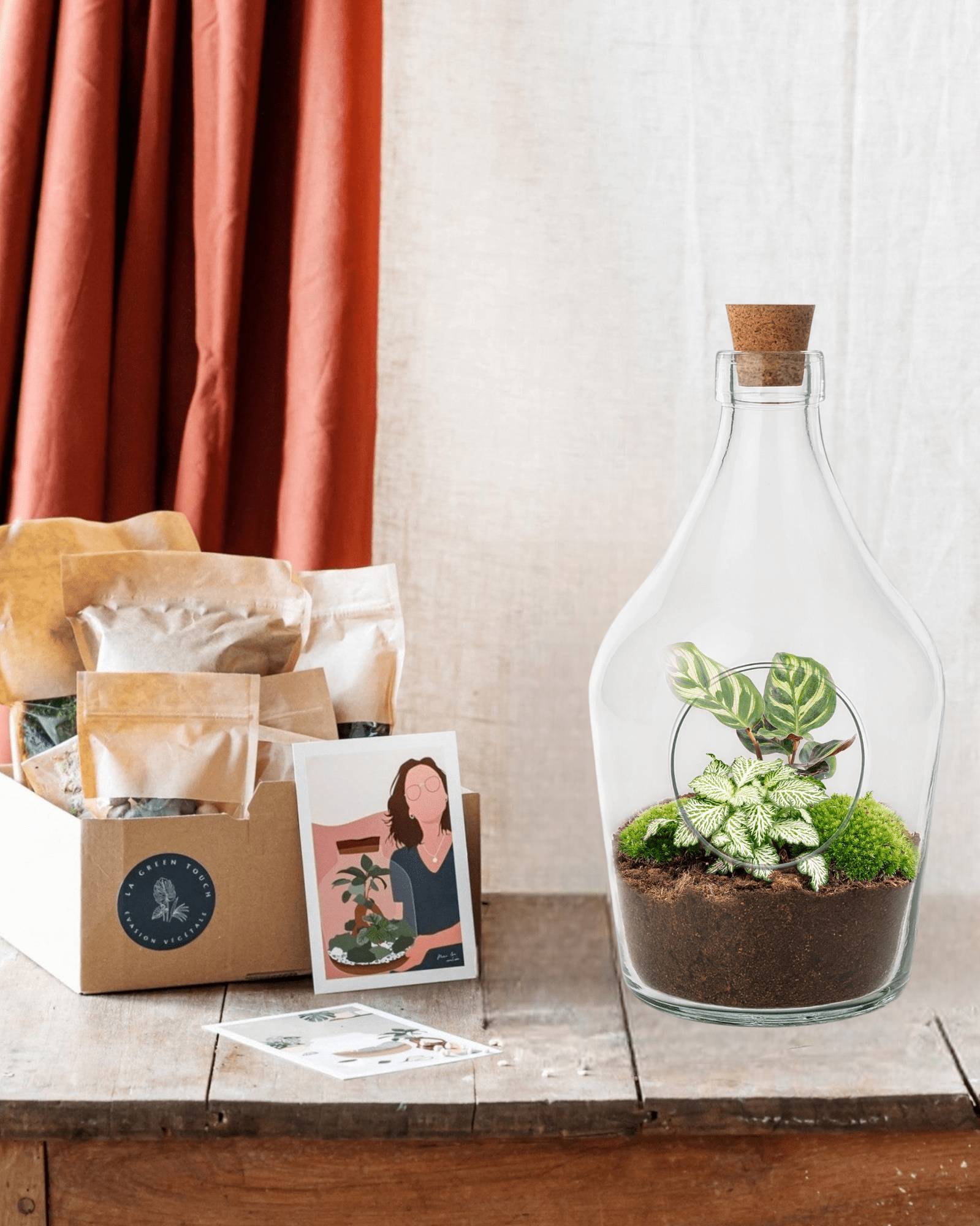 Kit Terrarium Diy - H30cm - Image 4