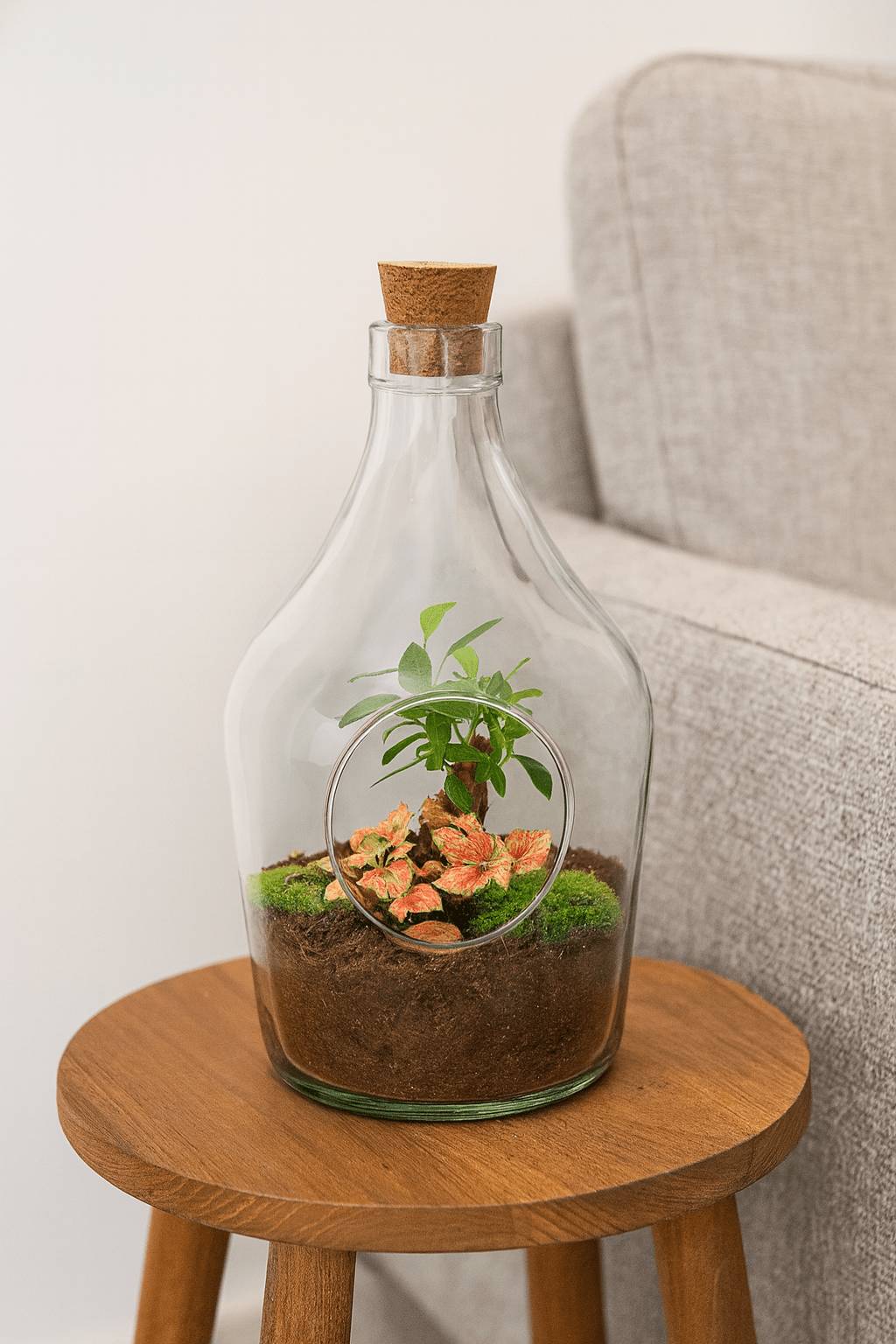 Kit Terrarium Diy - H30cm - Image 2