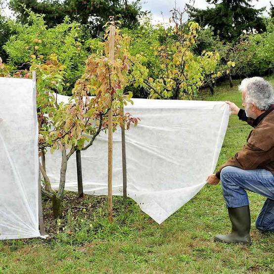 Voile d'hivernage / forçage 1.5 x 5 m - Image 5