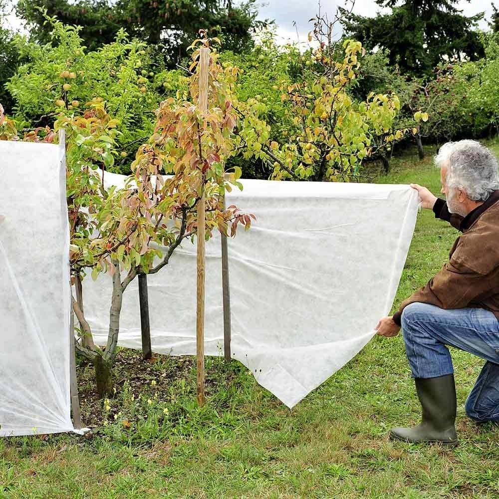 Voile d'hivernage / forçage 1.5 x 5 m - Image 5