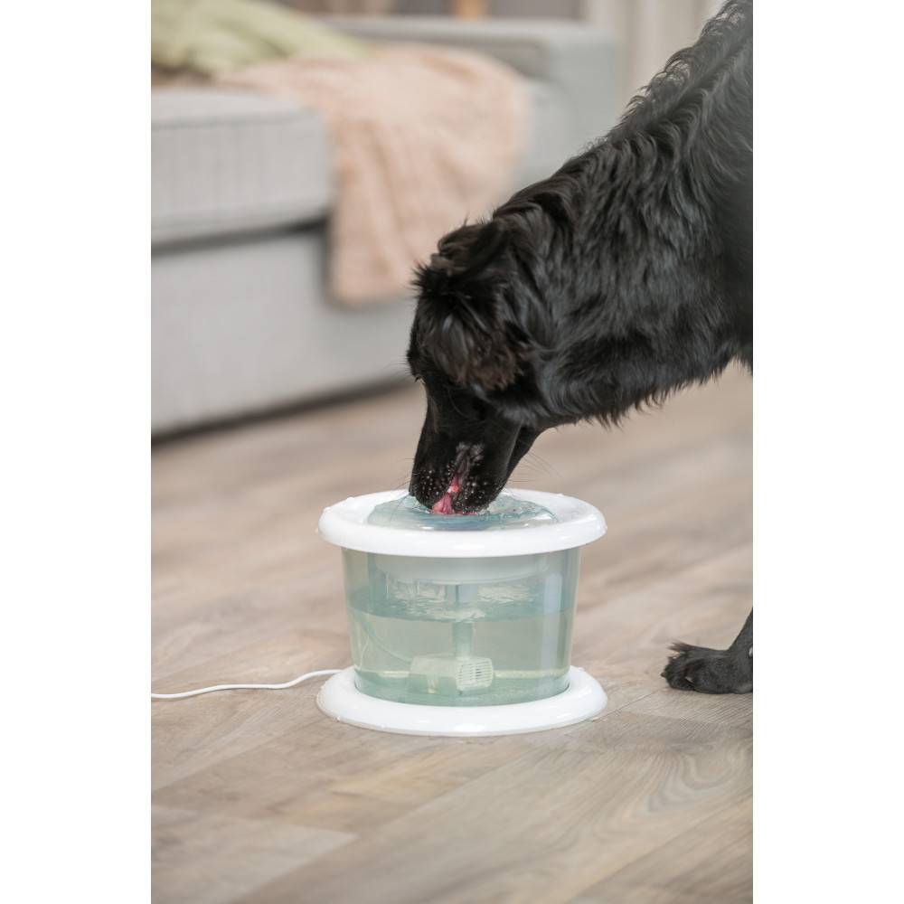 Trixie - Fontaine  3 Litres transparente, pour chat et chien - Image 4