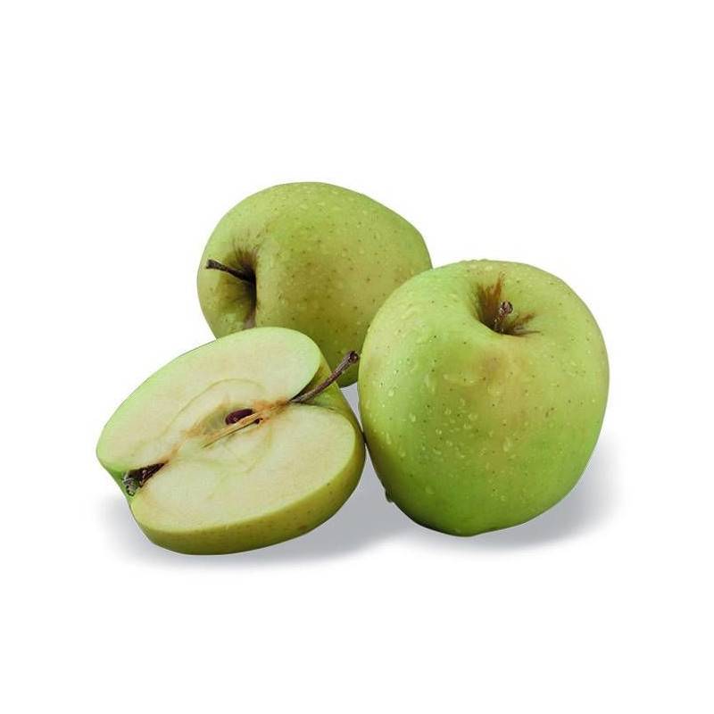 Pommier nain Pom' Pousse - Nains de jardins® - Bon rendement -  - De 1,50 m à 2,00 m - Image 1