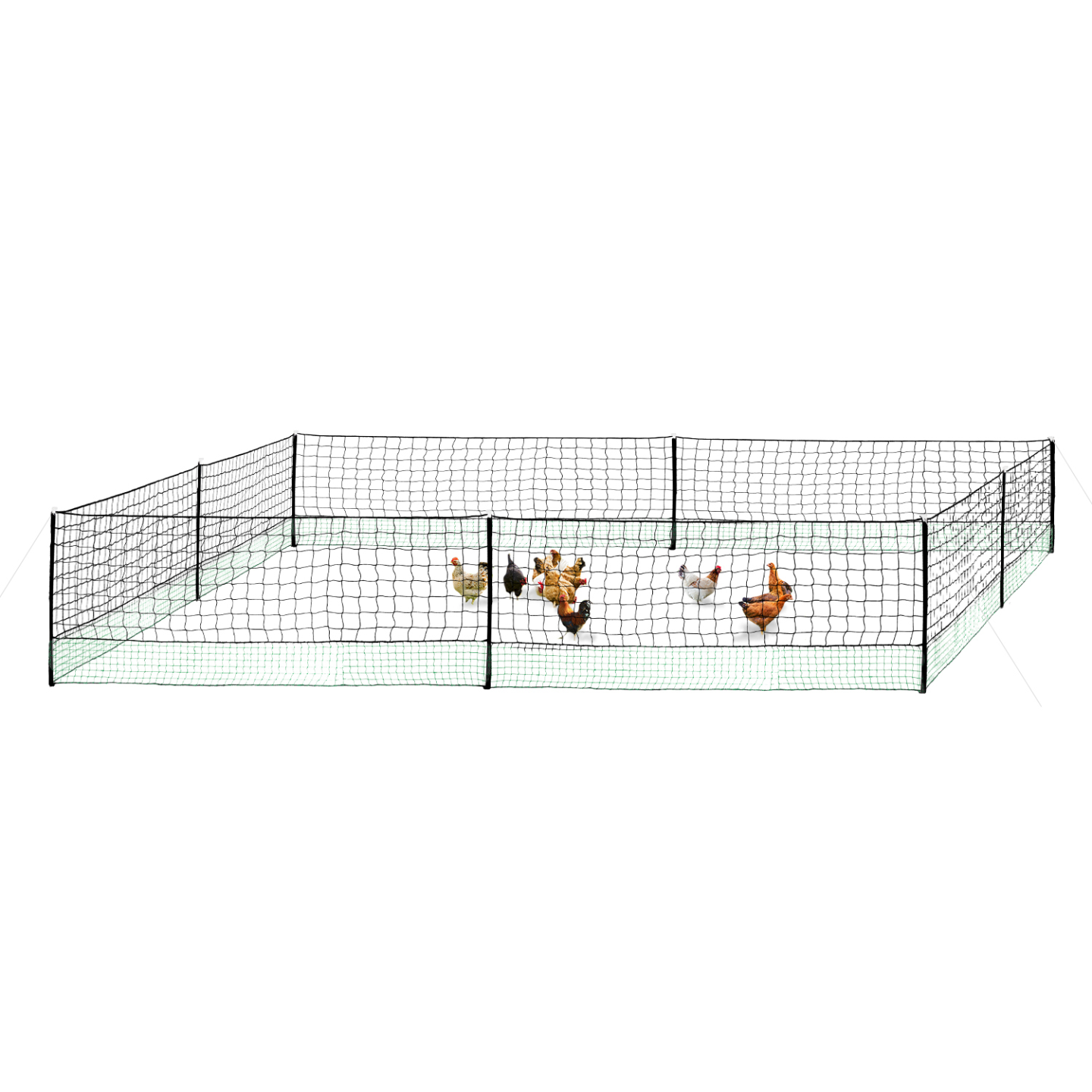 Kit Clôture Filet à Poules 24 m avec porte et 9 piquets double pointe – IDMarket - Image 9