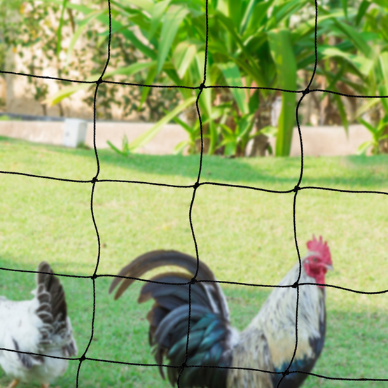 Kit Clôture Filet à Poules 24 m avec porte et 9 piquets double pointe – IDMarket - Image 5