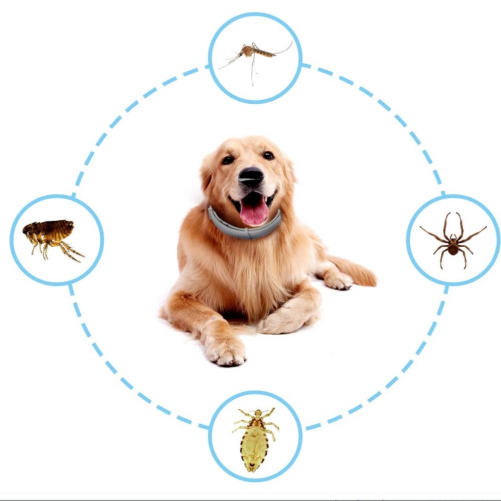 Collier antiparasitaire réglable pour chien 62 cm DtopbuyAge - Image 3