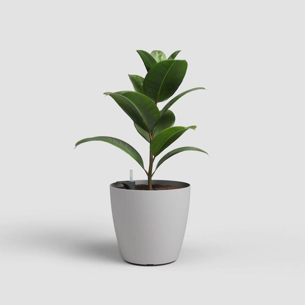 Artevasi - Pot de fleurs auto-arrosant San Remo Ø43,3 x H39,5 cm gris clair mat - ARTEVASI - Image 2