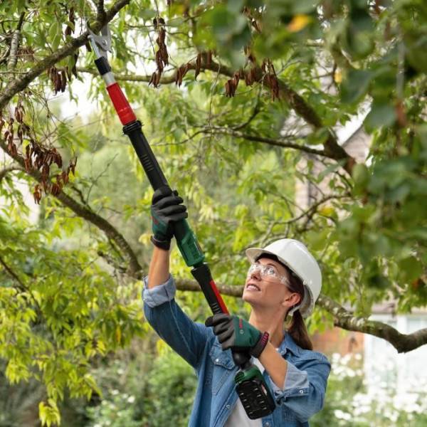 Bosch - Elagueur sans fil 18V-45 - Image 3