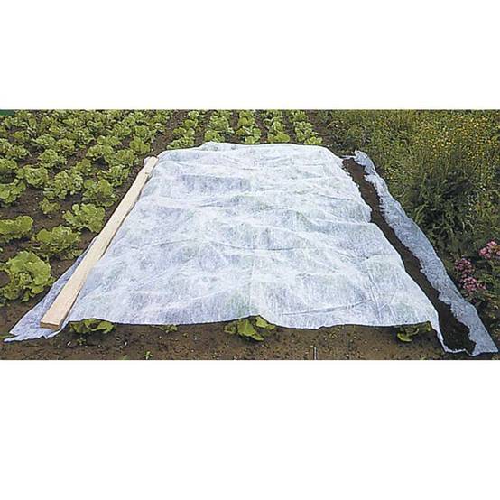 Voile d'hivernage blanc 60g-m2 WERKA PRO - 1 x 25m - Image 1