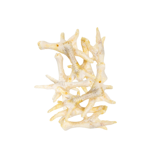 Pattes de poulet soufflées pour chiens – Friandises légères et croustillantes, idéales pour petites mâchoires - Image 3