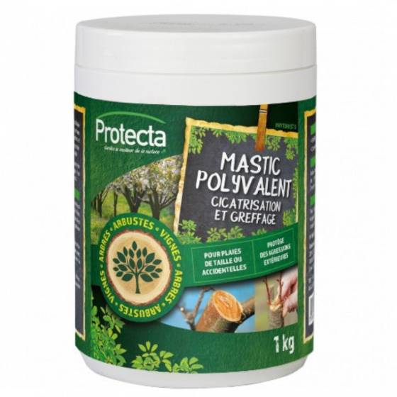 Protecta - Protecta - Mastic polyvalent - 1kg