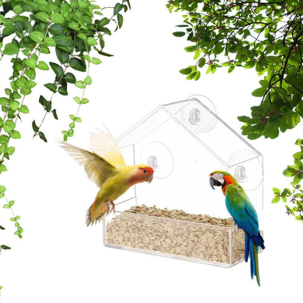 Mangeoire à oiseaux transparente - IntiMeg - Image 1