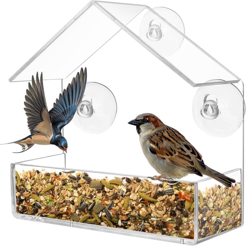 Mangeoire à oiseaux transparente - IntiMeg - Image 4