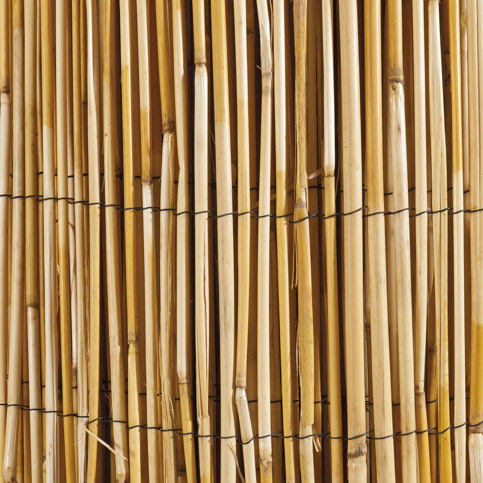 Canisse en roseau naturel WERKA PRO - 1,5 x 10 m - Image 2