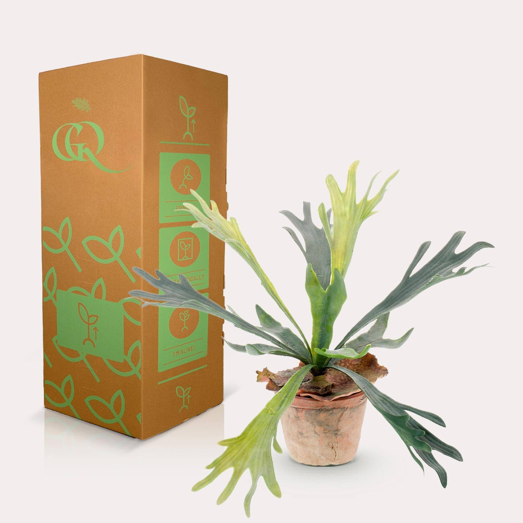 La Green Touch - Platycerium plante artificielle - h33cm, Ø15cm- La Green Touch - Image 3