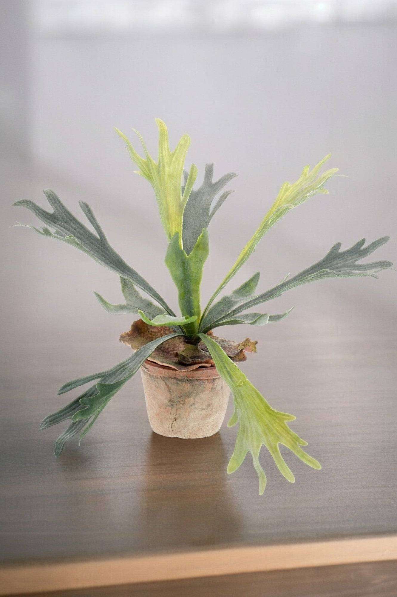 La Green Touch - Platycerium plante artificielle - h33cm, Ø15cm- La Green Touch - Image 1