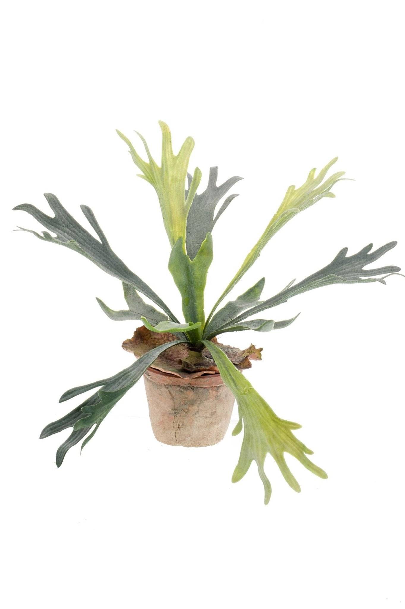 La Green Touch - Platycerium plante artificielle - h33cm, Ø15cm- La Green Touch - Image 5