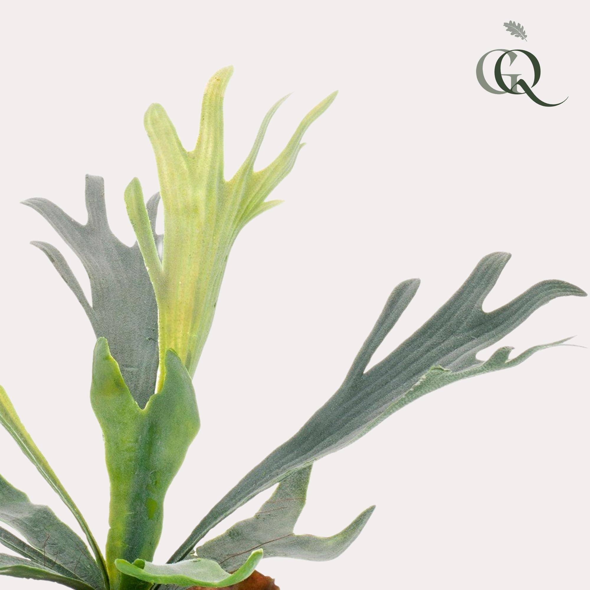 La Green Touch - Platycerium plante artificielle - h33cm, Ø15cm- La Green Touch - Image 2