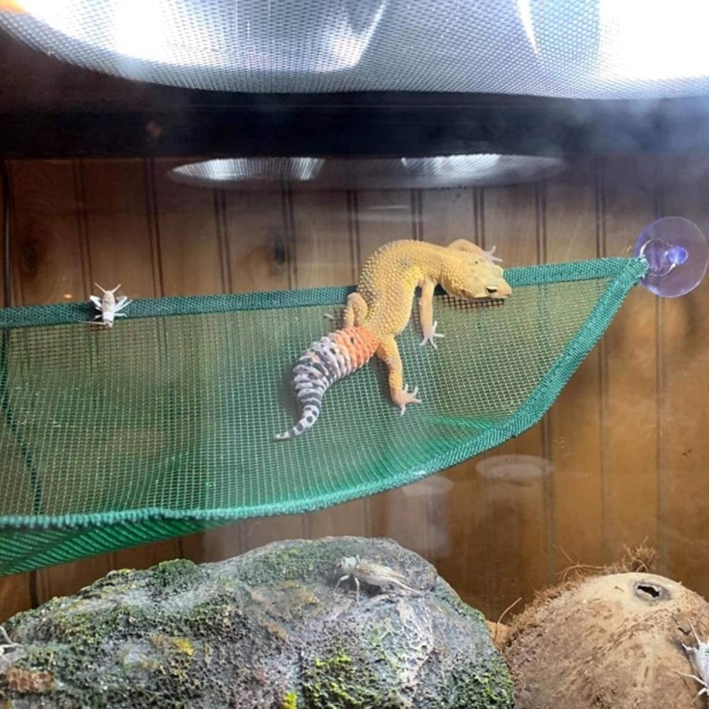 Hamac pour reptiles DtopbuyAge - Image 4