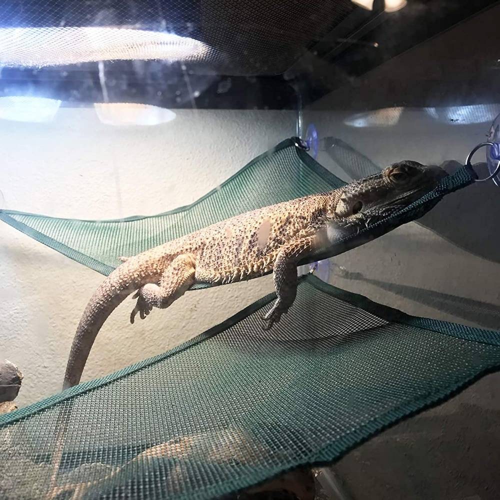 Hamac pour reptiles DtopbuyAge - Image 3