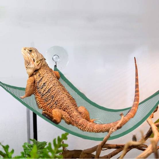 Hamac pour reptiles DtopbuyAge - Image 2