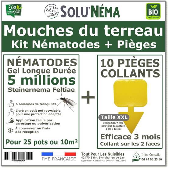 Solunéma - Kit Nématodes 5 millions + 10 pièges collants XXL - Contre Les Mouches du Terreau - pour traiter 25 pots - Image 1