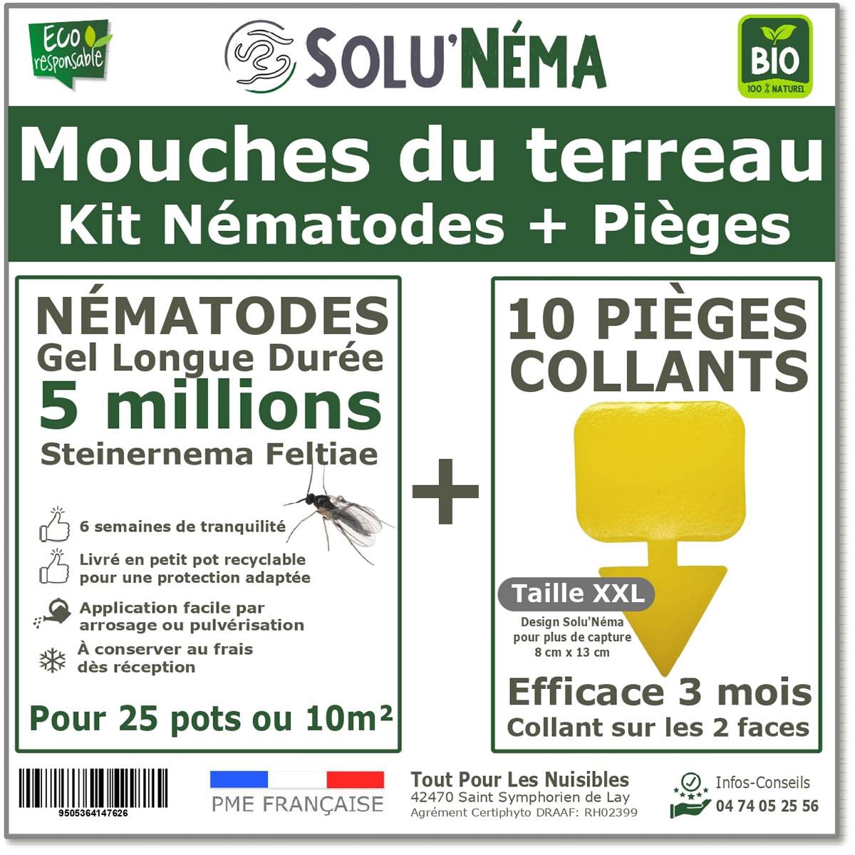 Solunéma - Kit Nématodes 5 millions + 10 pièges collants XXL - Contre Les Mouches du Terreau - pour traiter 25 pots - Image 1