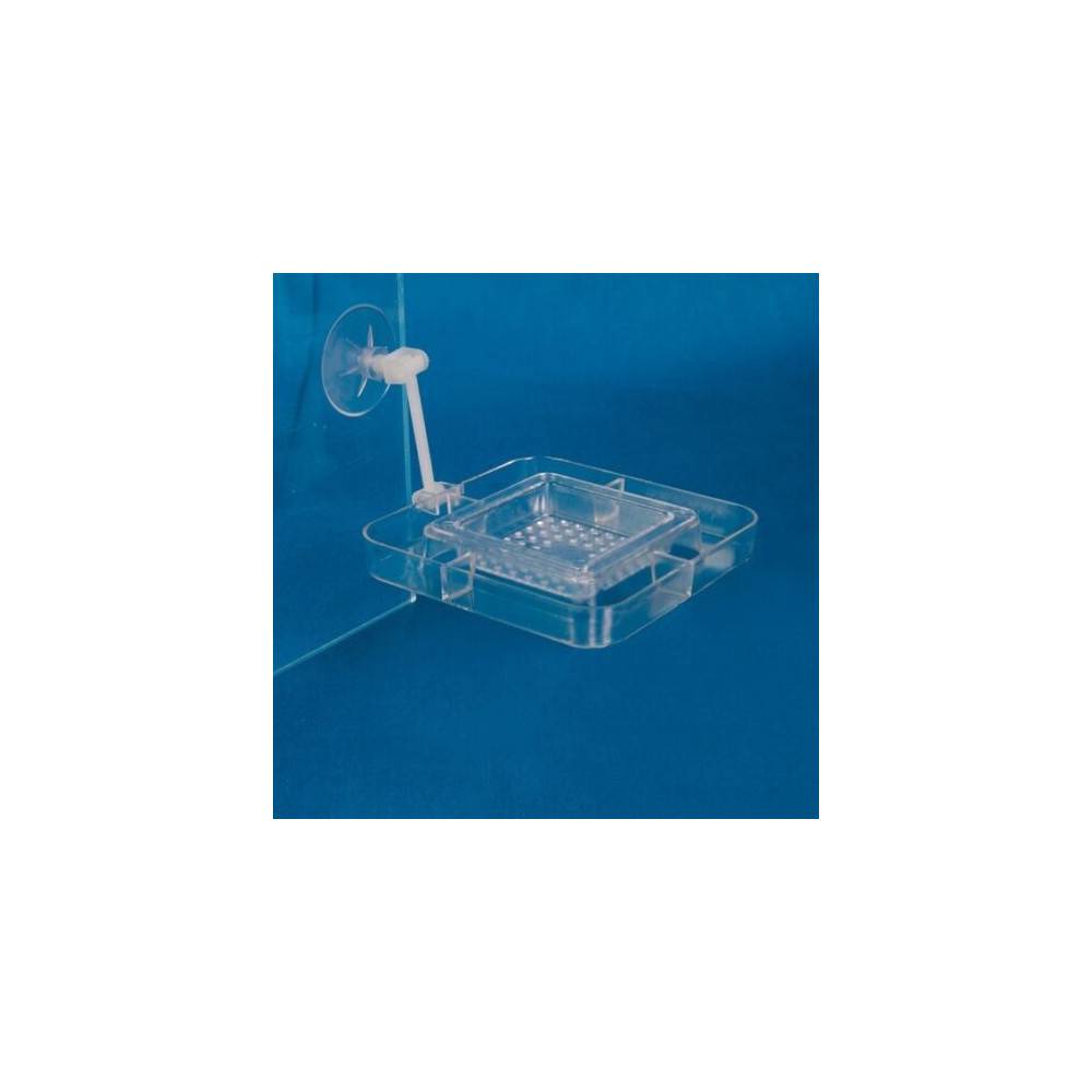 Trixie - Tablette pour nourriture avec tamis 7 x 7 cm, aquarium. - Image 2