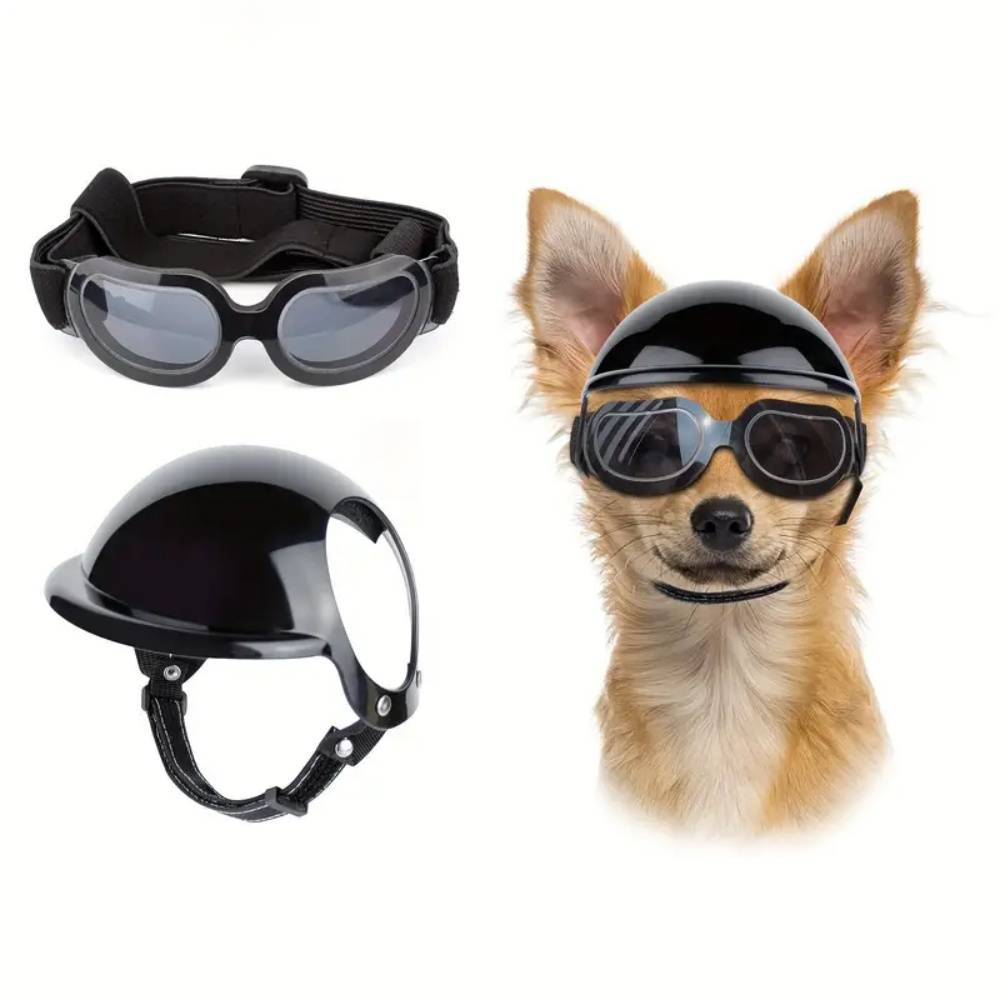 IntiMeg - Ensemble de lunettes et casque pour chien IntiMeg - Image 1