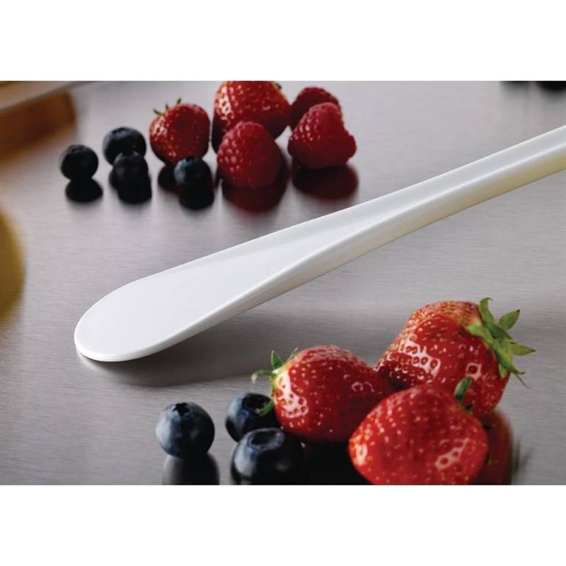 Spatule professionnelle Exoglass Mafter - 305mm - Image 4