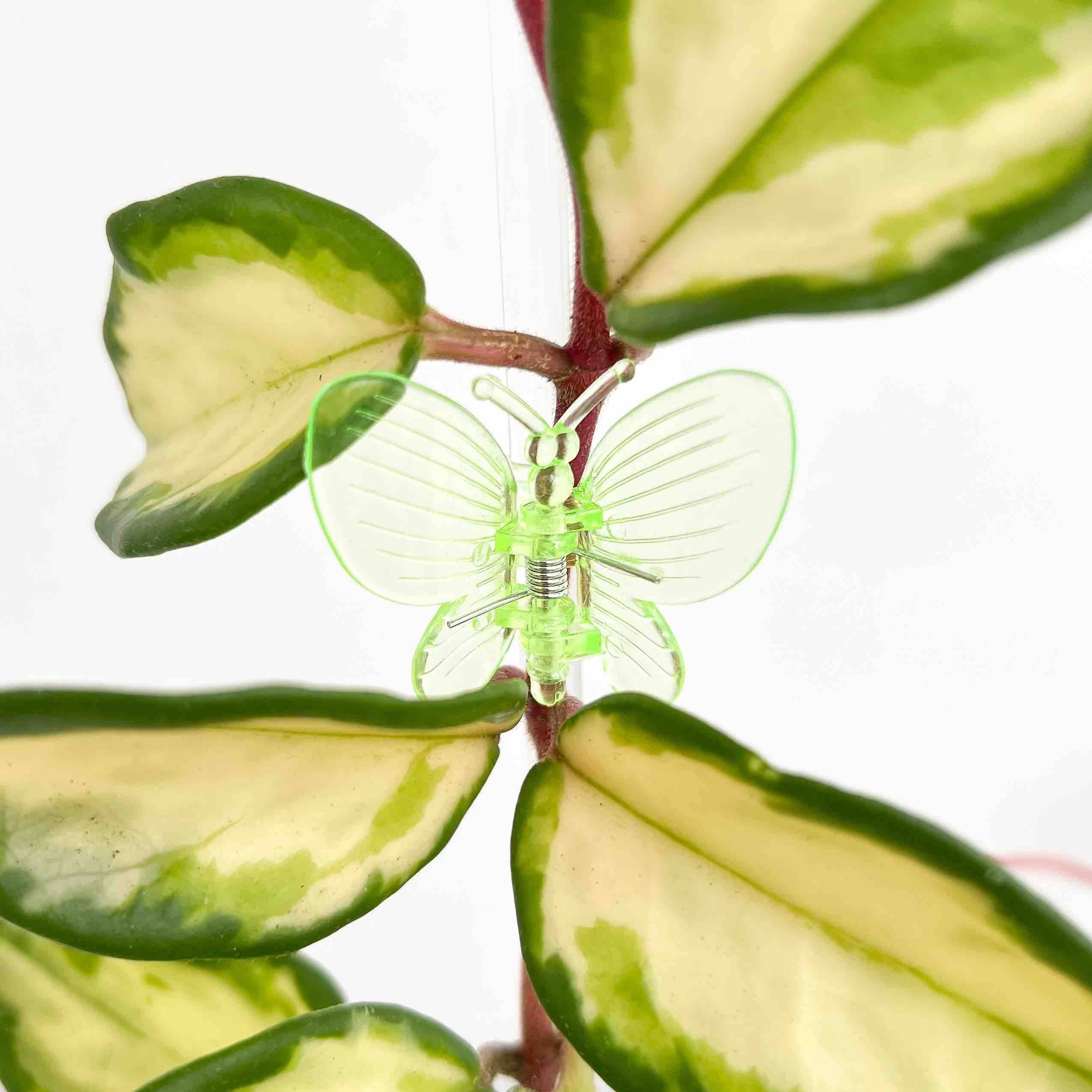 Pinces Papillon pour plante X10 - Pince tuteurage Papillon - Clips de support - Pinces de support pour plantes - Vert citron - Image 1