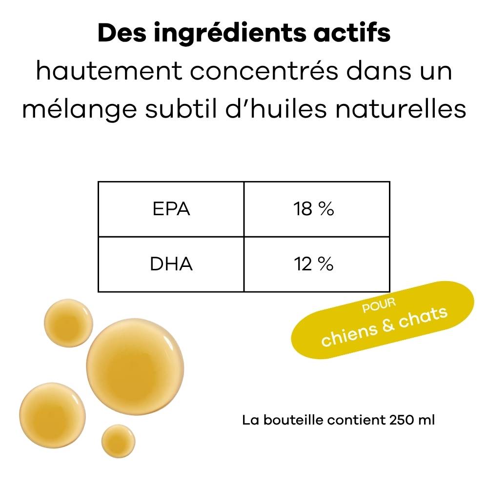 Huile de Poissons Sauvages Oméga-3 EPA DHA - Peau, Pelage, Articulations, soutien de la Santé cérébrale et cardiaque, pour chiens & chats - Treatsy - Image 5