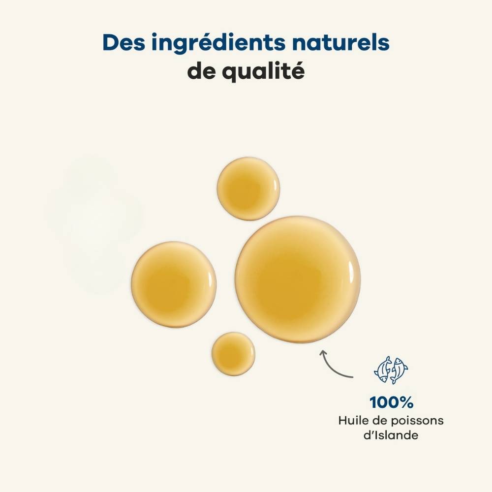 Huile de Poissons Sauvages Oméga-3 EPA DHA - Peau, Pelage, Articulations, soutien de la Santé cérébrale et cardiaque, pour chiens & chats - Treatsy - Image 6