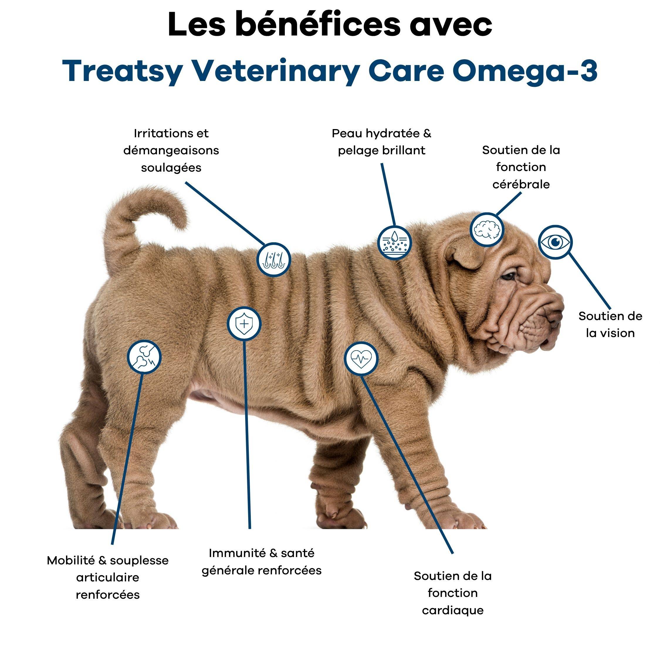 Huile de Poissons Sauvages Oméga-3 EPA DHA - Peau, Pelage, Articulations, soutien de la Santé cérébrale et cardiaque, pour chiens & chats - Treatsy - Image 3