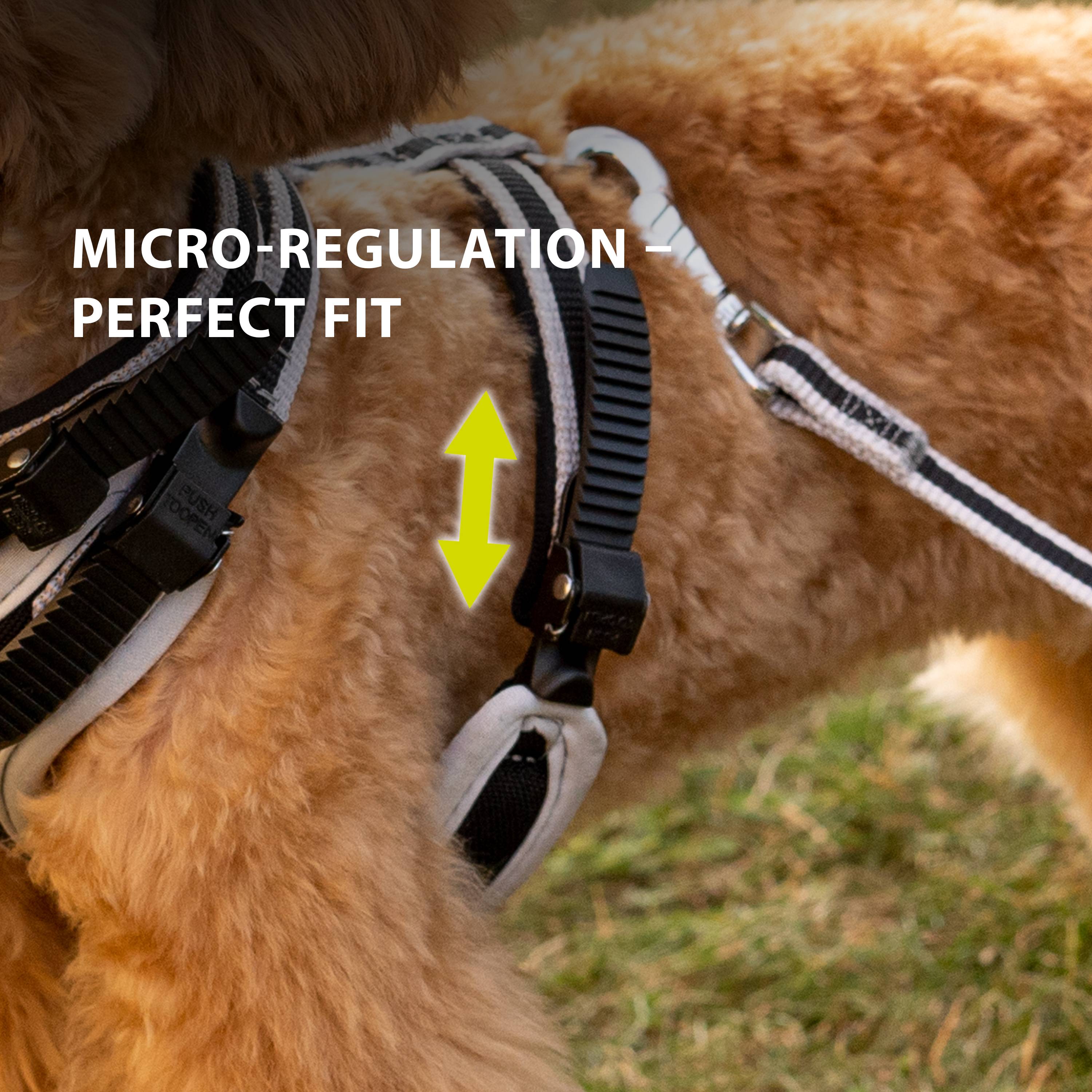 Ferplast - Ferplast Harnais pour Chien Petite Taille ERGOCOMFORT SMALL, Harnais pour Chien Ajustable, Confortable, Rembourré, Fermeture Double Micro-ajustement, - Image 6