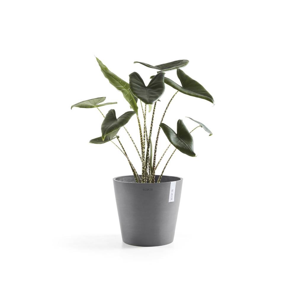 Ecopots - Pot Rond Amsterdam 40 Gris + réservoir d'eau - Ø 40 x H. 35 cm - 28 L ECOPOTS - Image 1