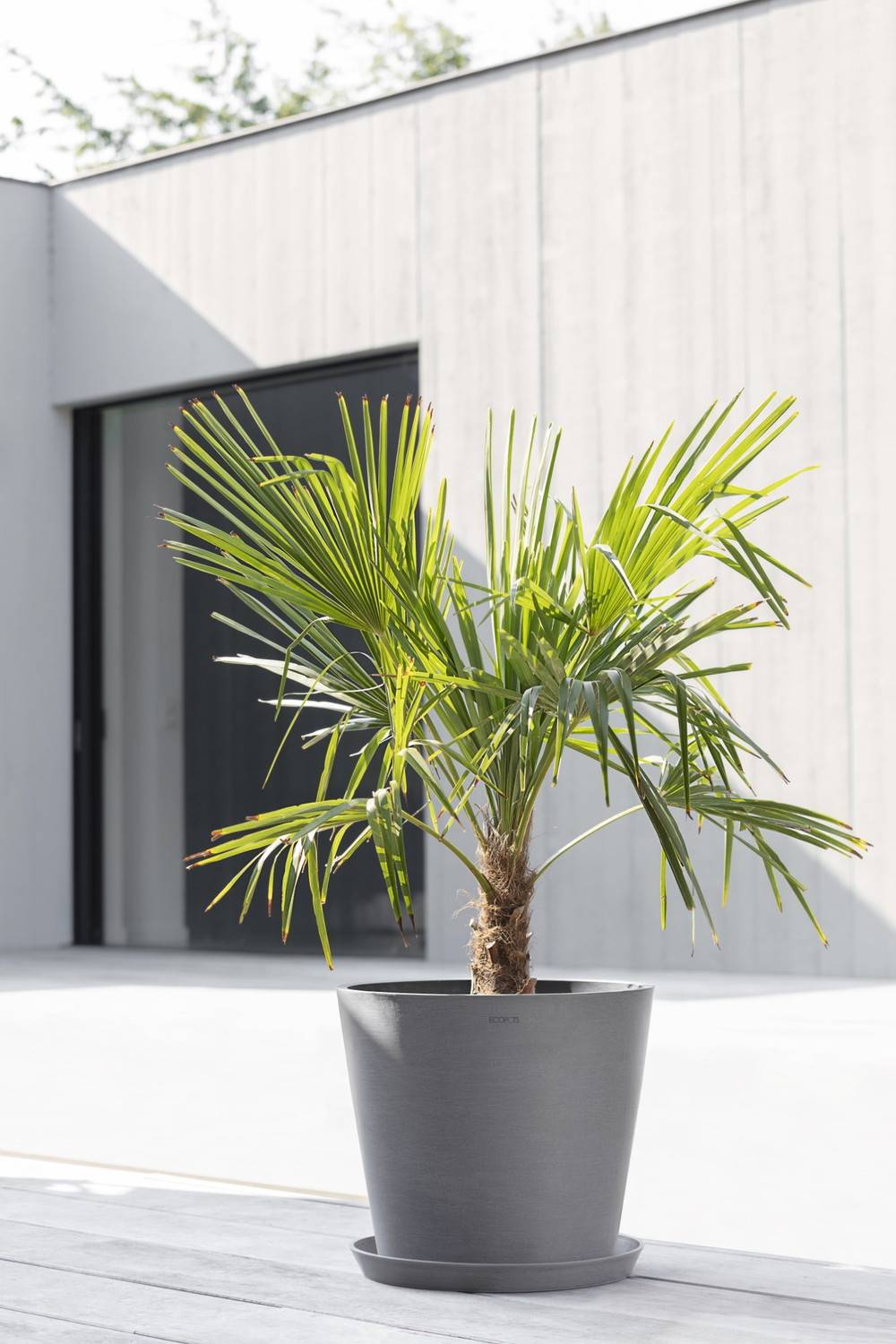 Ecopots - Pot Rond Amsterdam 40 Gris + réservoir d'eau - Ø 40 x H. 35 cm - 28 L ECOPOTS - Image 3