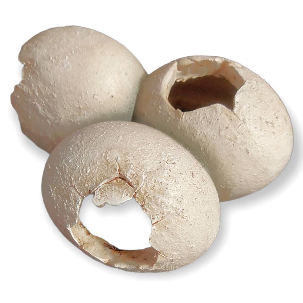 Trixie - Grotte en motif coquille d'œuf 15 x 6 x 12 cm pour reptiles - Image 2