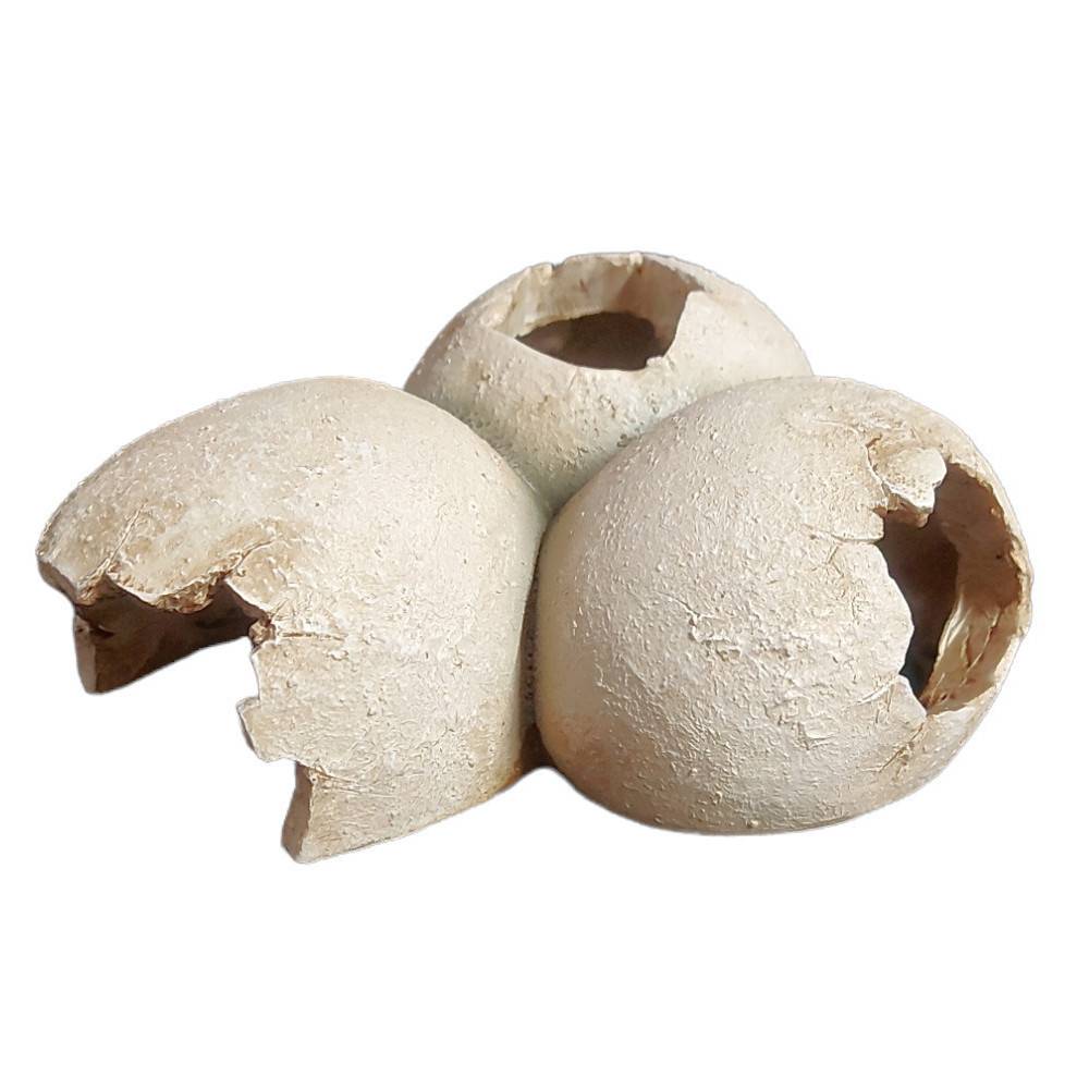 Trixie - Grotte en motif coquille d'œuf 15 x 6 x 12 cm pour reptiles - Image 1