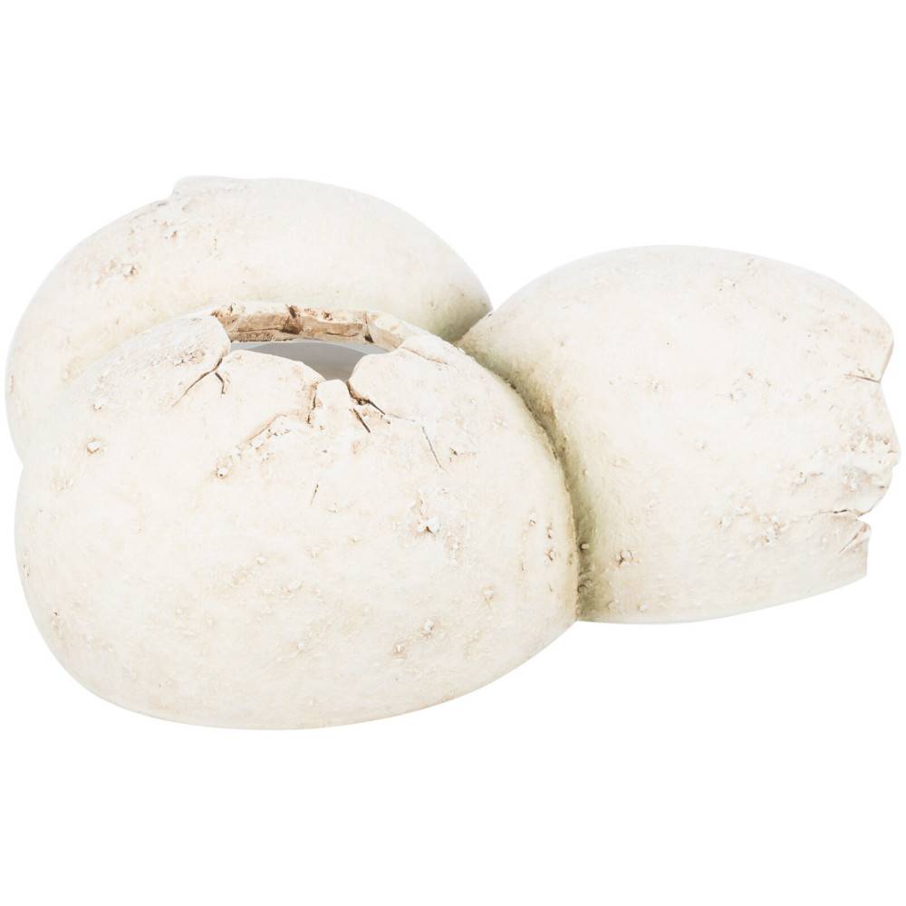 Trixie - Grotte en motif coquille d'œuf 15 x 6 x 12 cm pour reptiles - Image 4